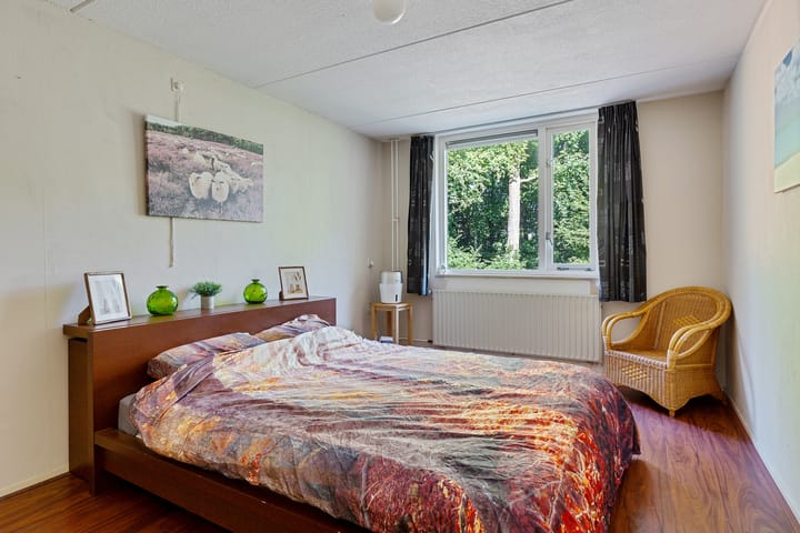 Foto 30 van Dorsvloer 45