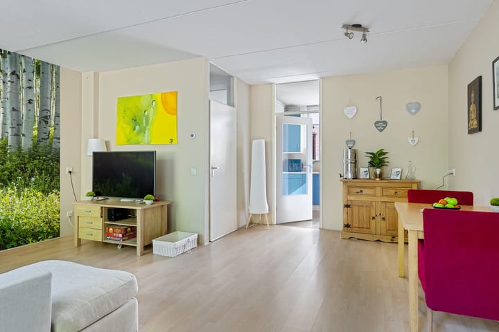 Foto 21 van Dorsvloer 45