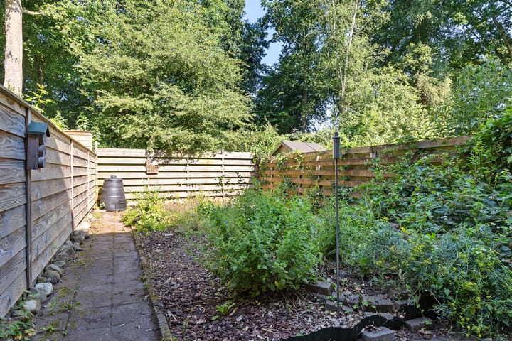 Foto 38 van Dorsvloer 45