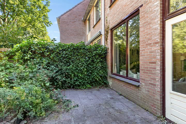 Foto 39 van Dorsvloer 45