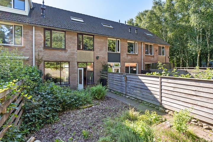 Foto 41 van Dorsvloer 45