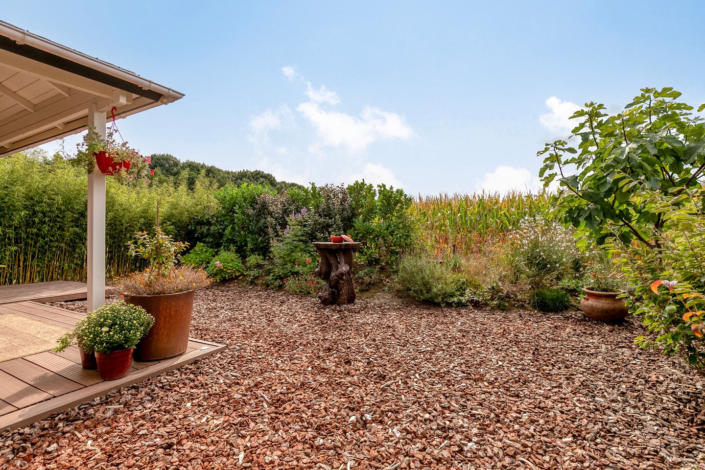 Foto 34 van Platanenlaan 8