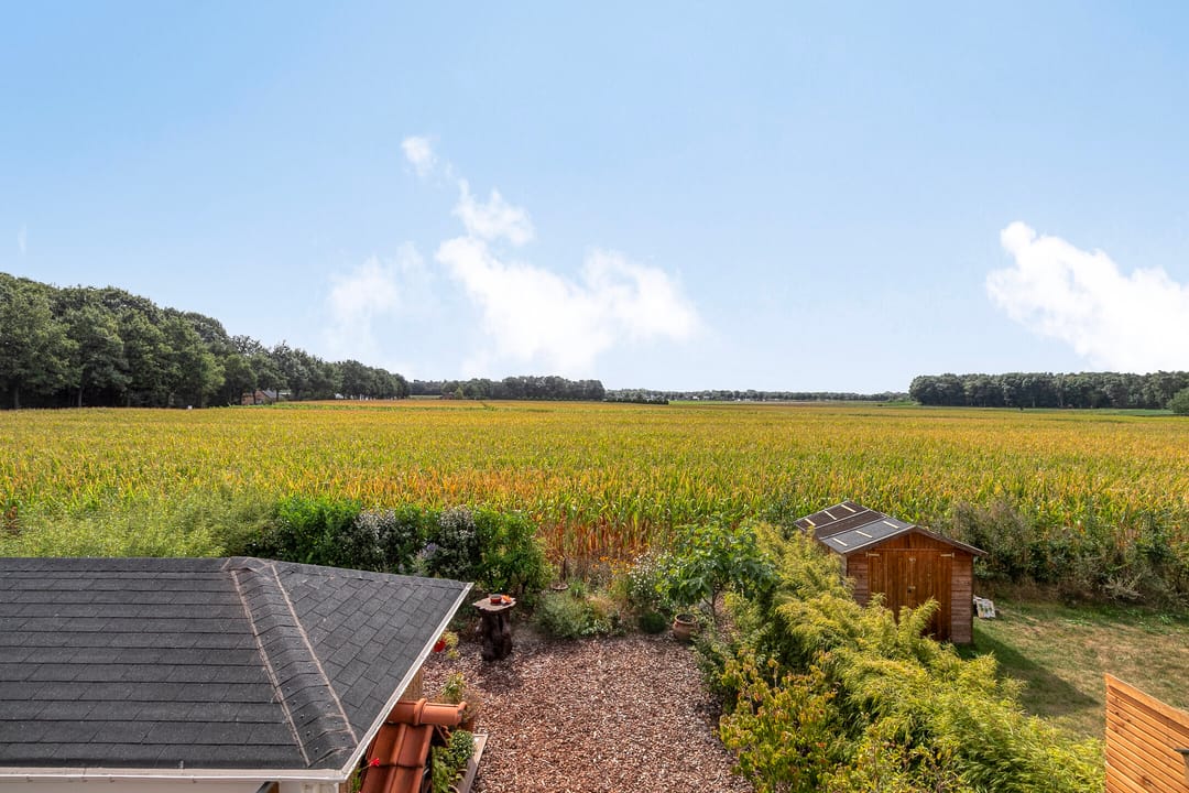 Foto 41 van Platanenlaan 8