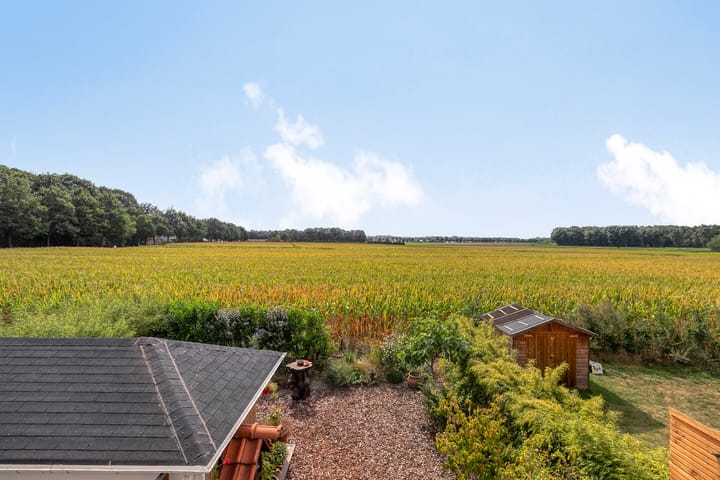 Foto 41 van Platanenlaan 8