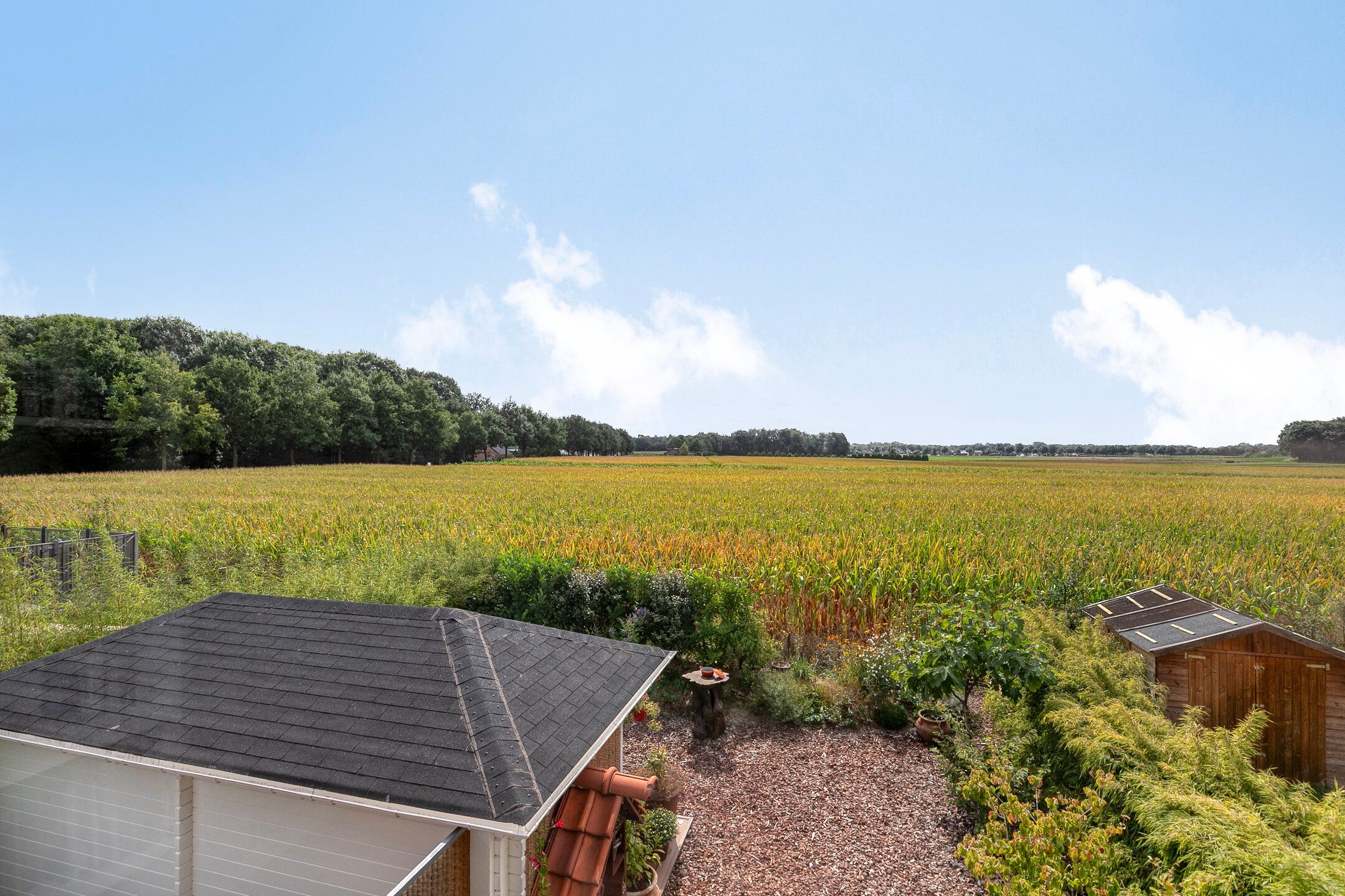 Foto 42 van Platanenlaan 8