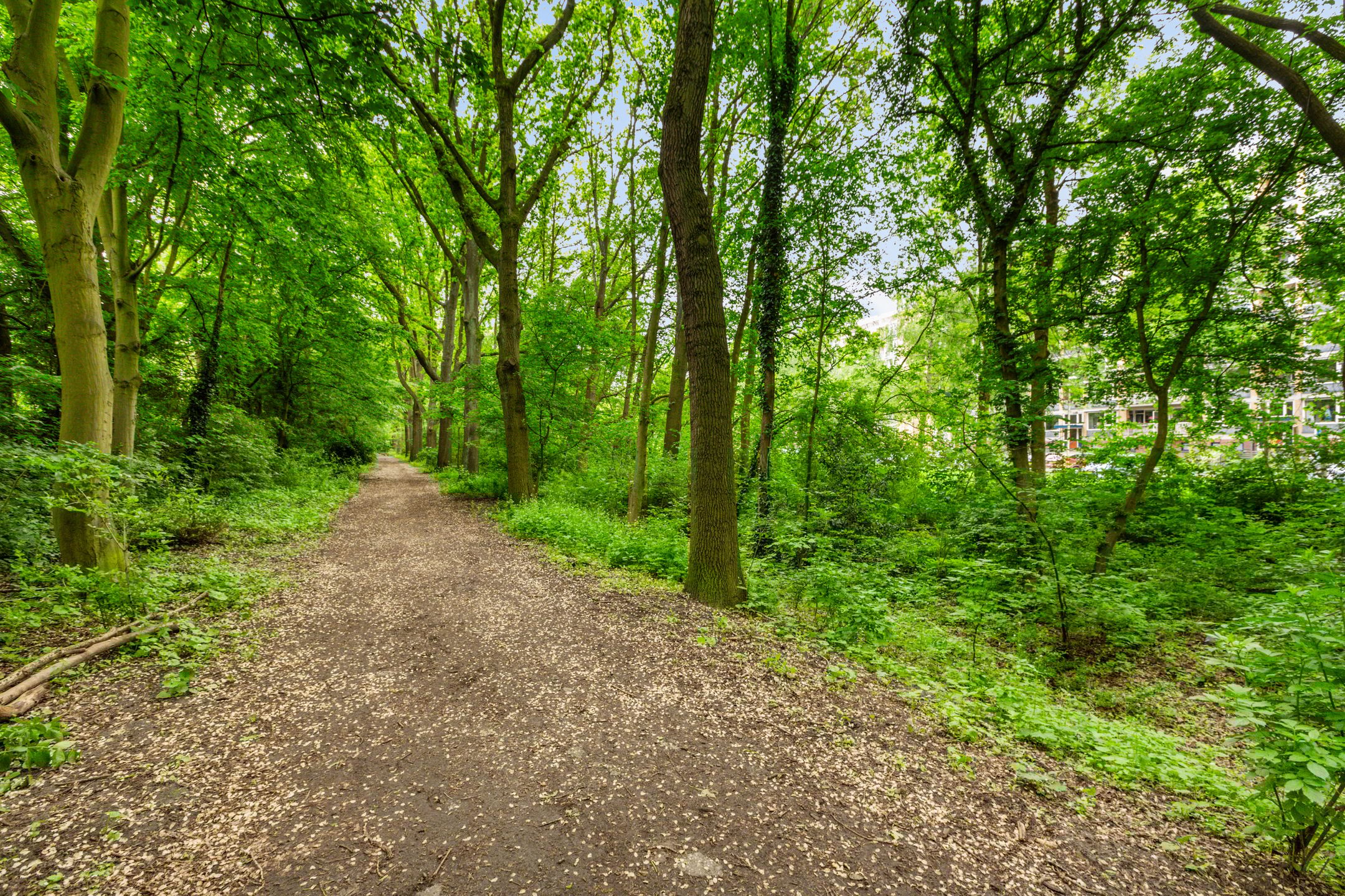 Foto 33 van Karel Doormanlaan 212