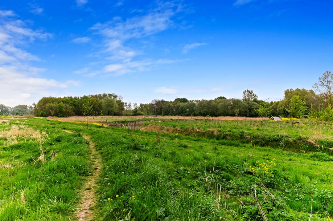 Foto 37 van Leeuweriklaan 10