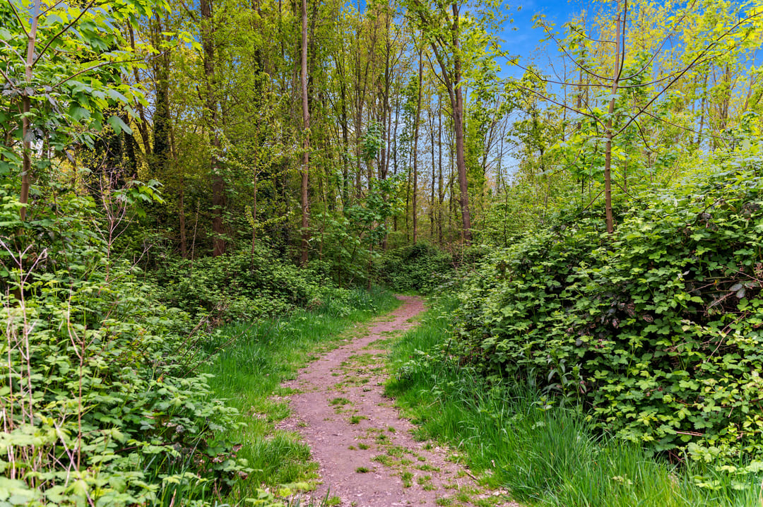 Foto 41 van Leeuweriklaan 10