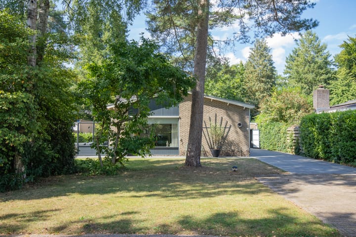 Foto 39 van De Pol 10