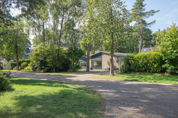 Foto 42 van De Pol 10