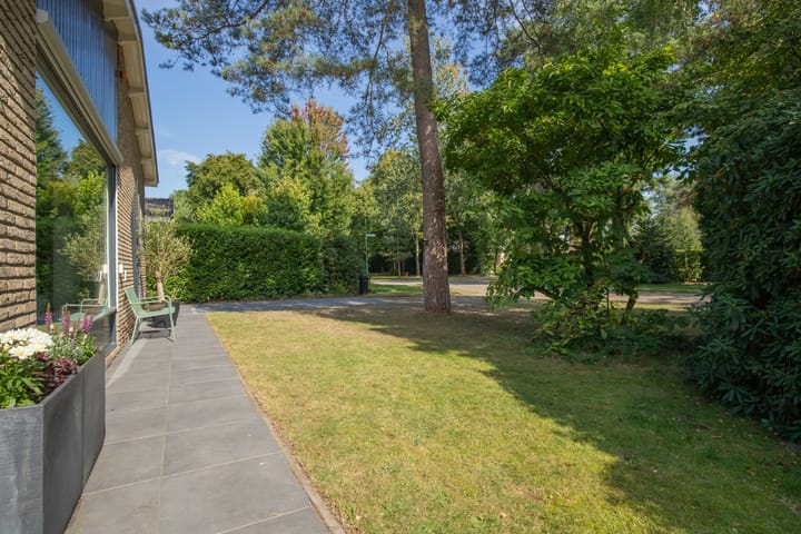 Foto 43 van De Pol 10