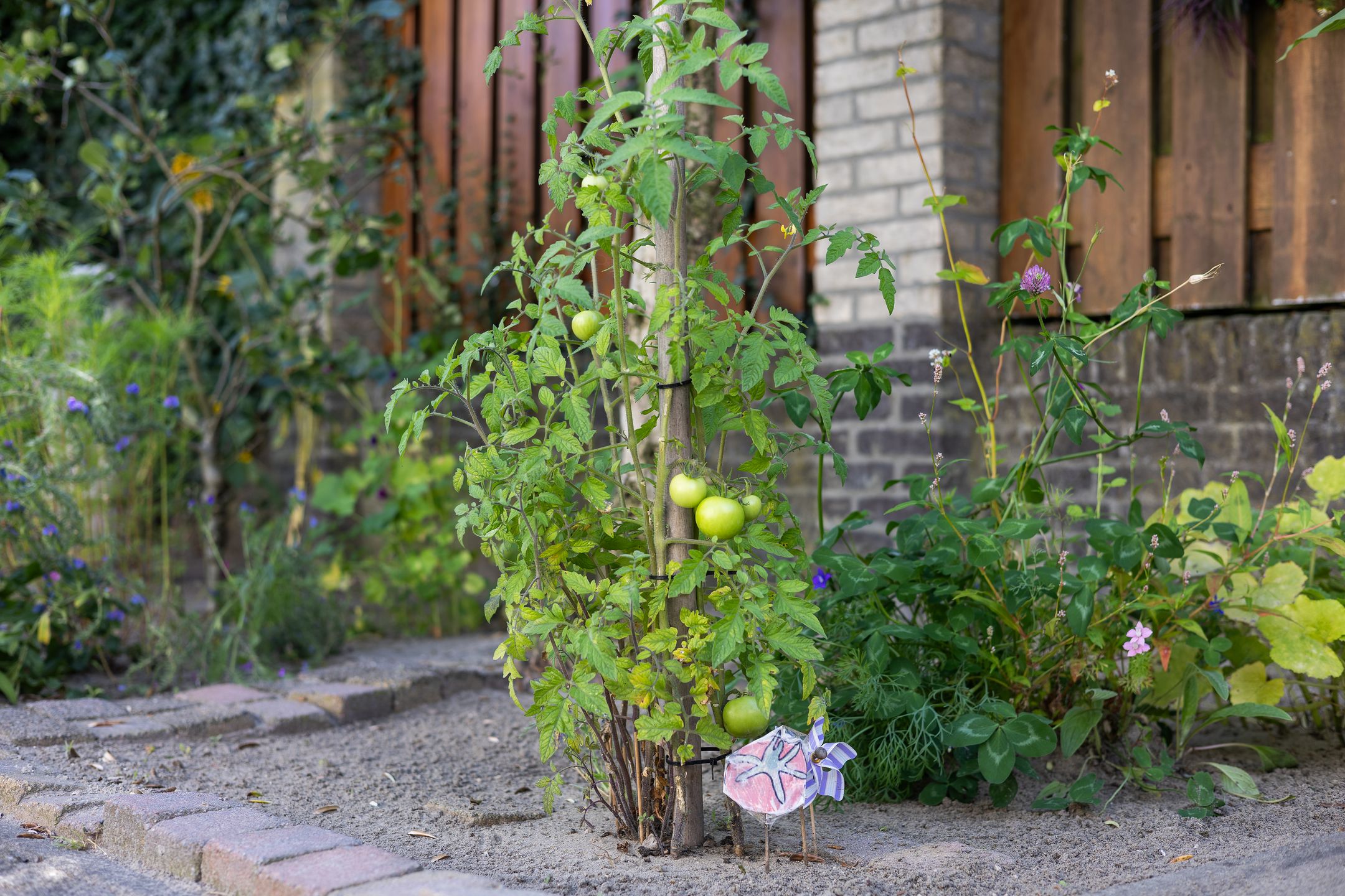 Foto 48 van De Steenenborch 39