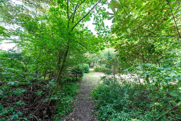 Foto 33 van Harskamperweg 11