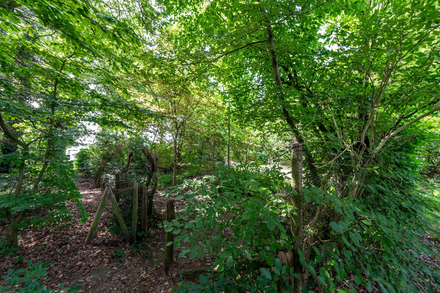 Foto 34 van Harskamperweg 11