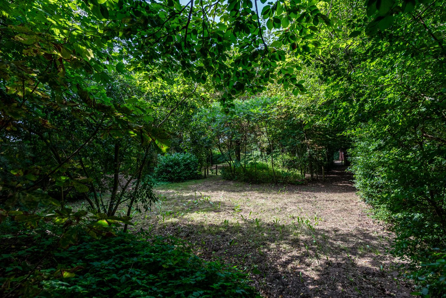 Foto 35 van Harskamperweg 11