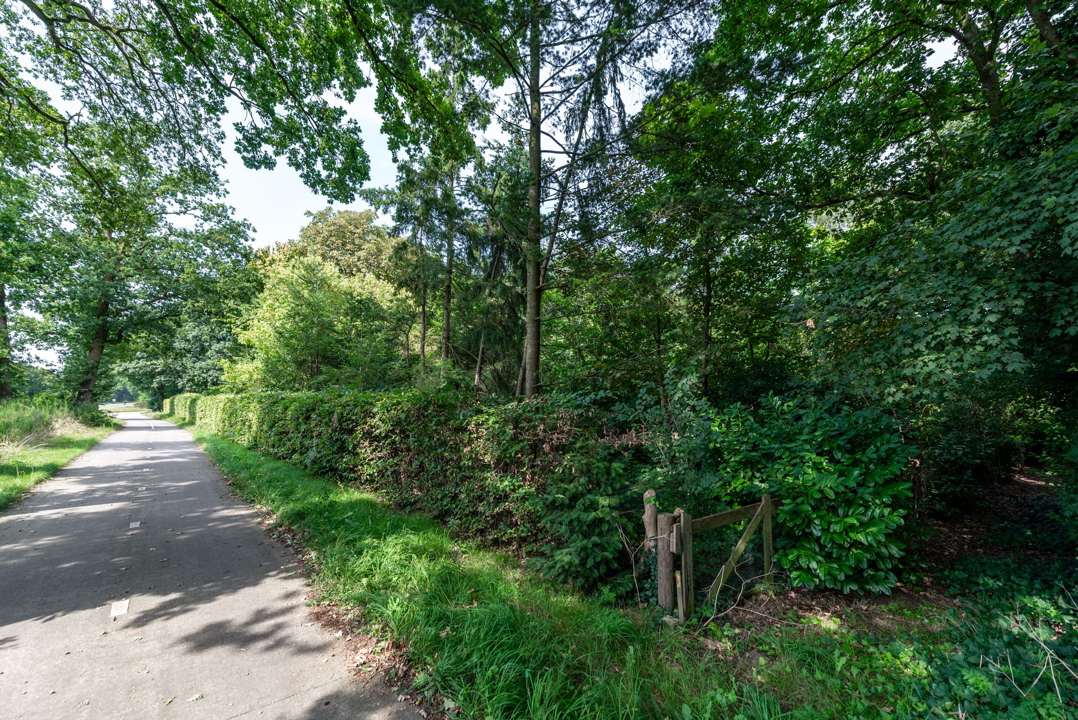 Foto 36 van Harskamperweg 11