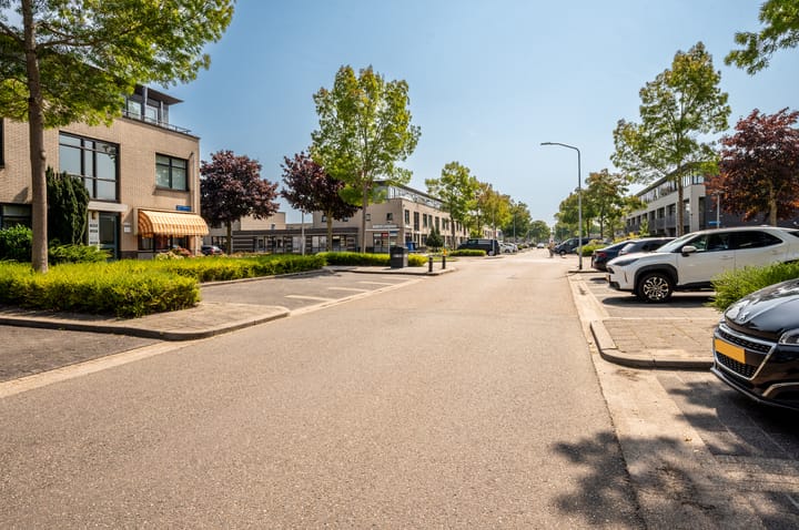 Foto 24 van Joris Ivenslaan 113