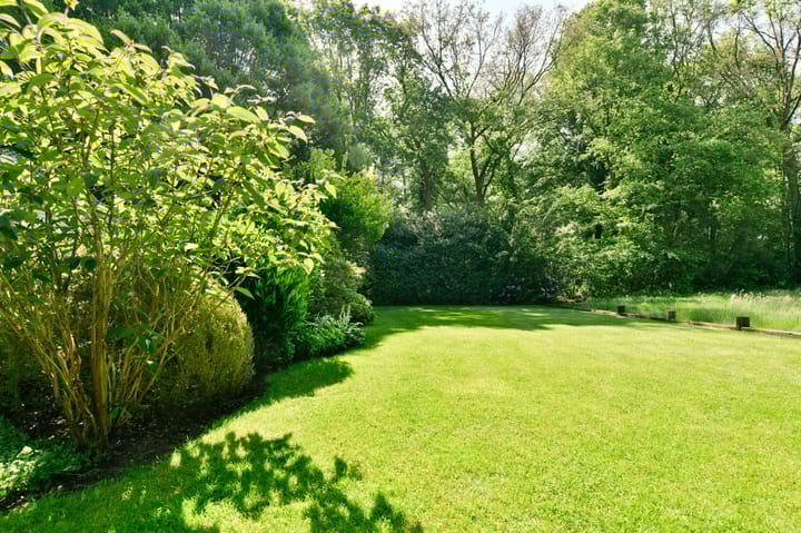 Foto 28 van Veldkampen 6