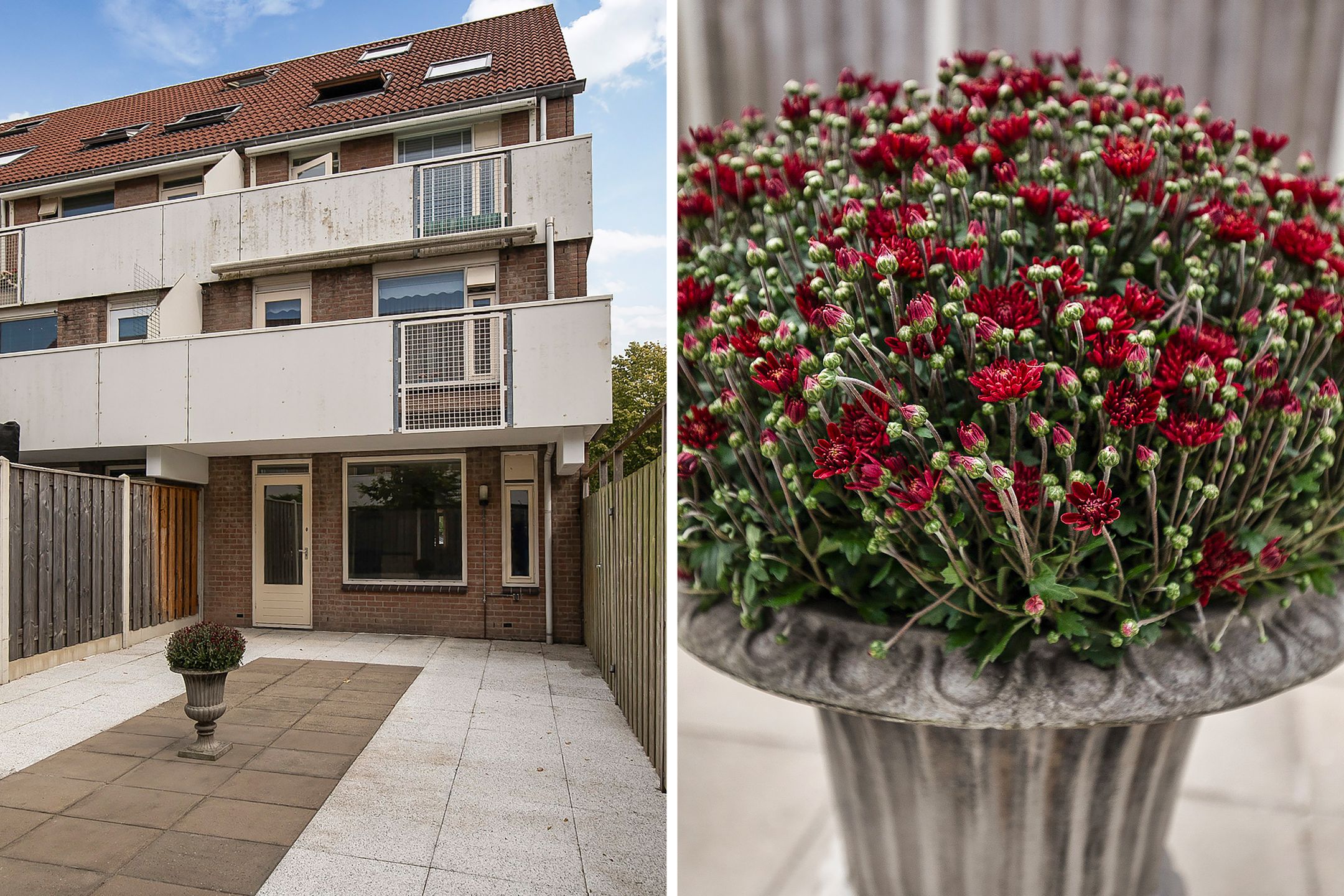 Photo 6 of Thomsonstraat 1