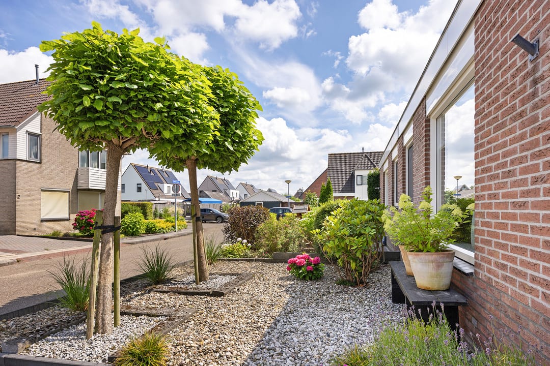 Foto 41 van Poldermolen 3