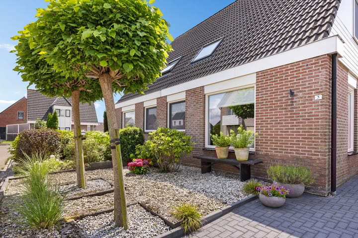 Foto 45 van Poldermolen 3