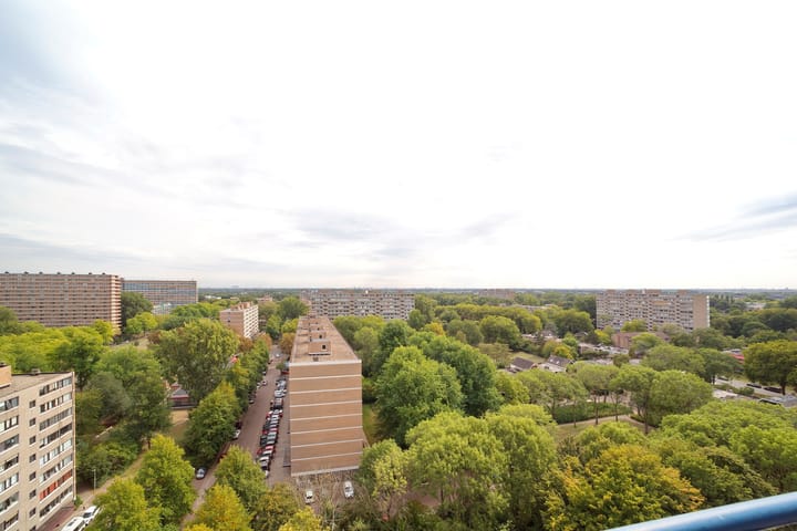 Foto 17 van Menno ter Braaklaan 223