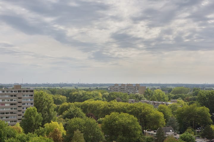 Foto 41 van Menno ter Braaklaan 223