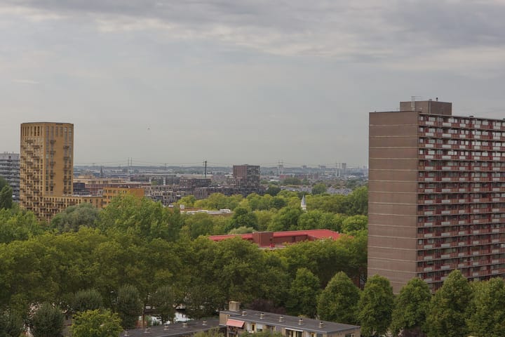 Foto 46 van Menno ter Braaklaan 223