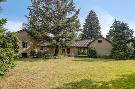 Bachlaan 6 secondary image