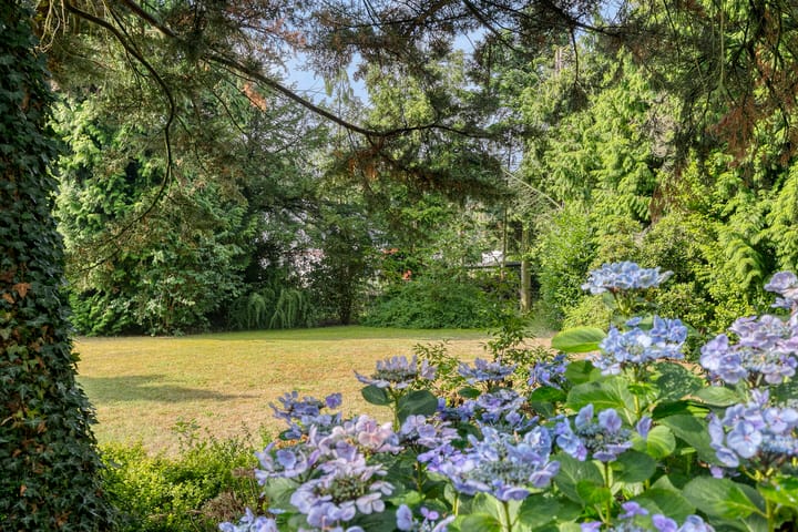 Photo 33 of Bachlaan 6