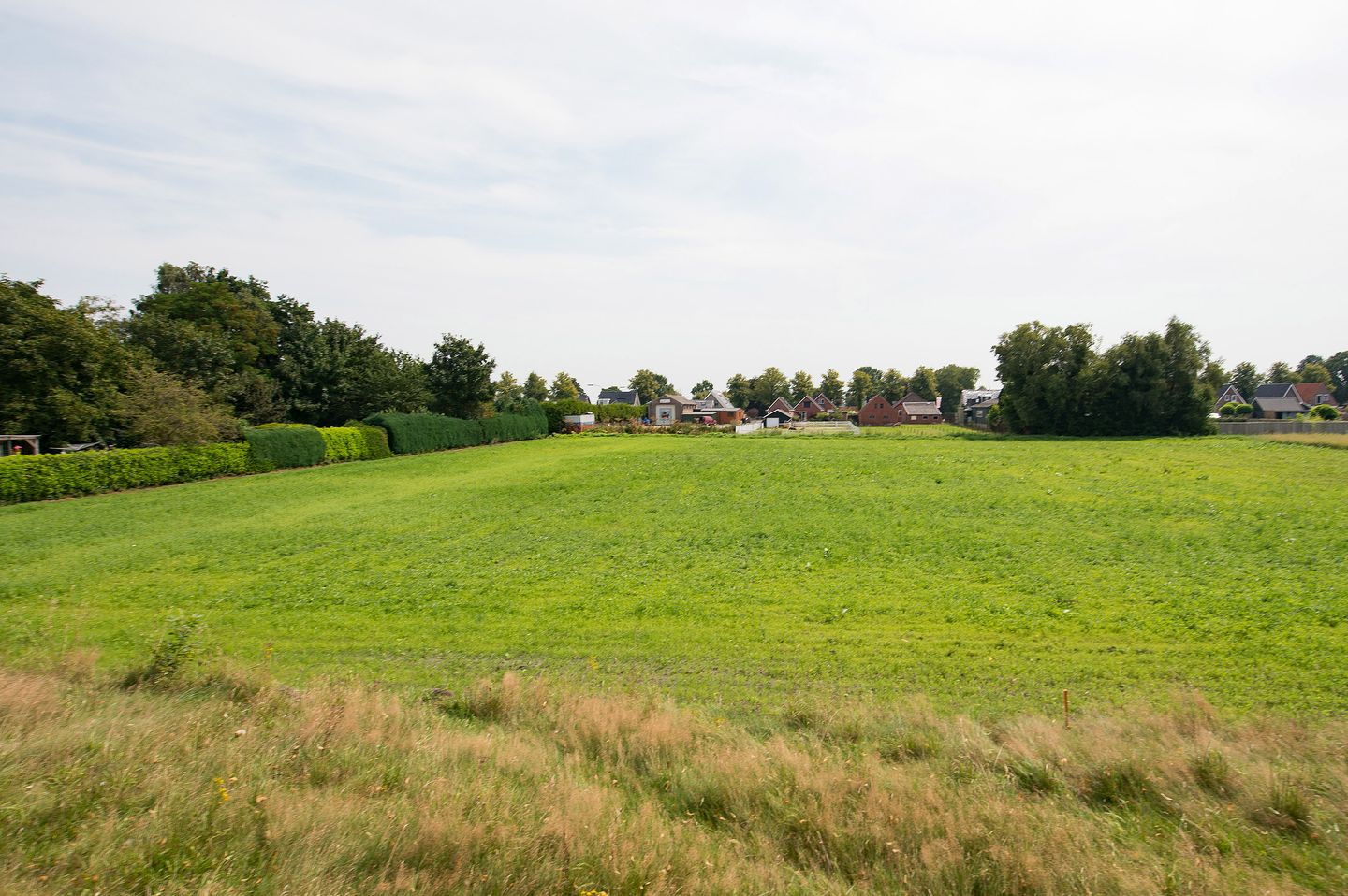 Bekijk foto 4 van Noorderdiep