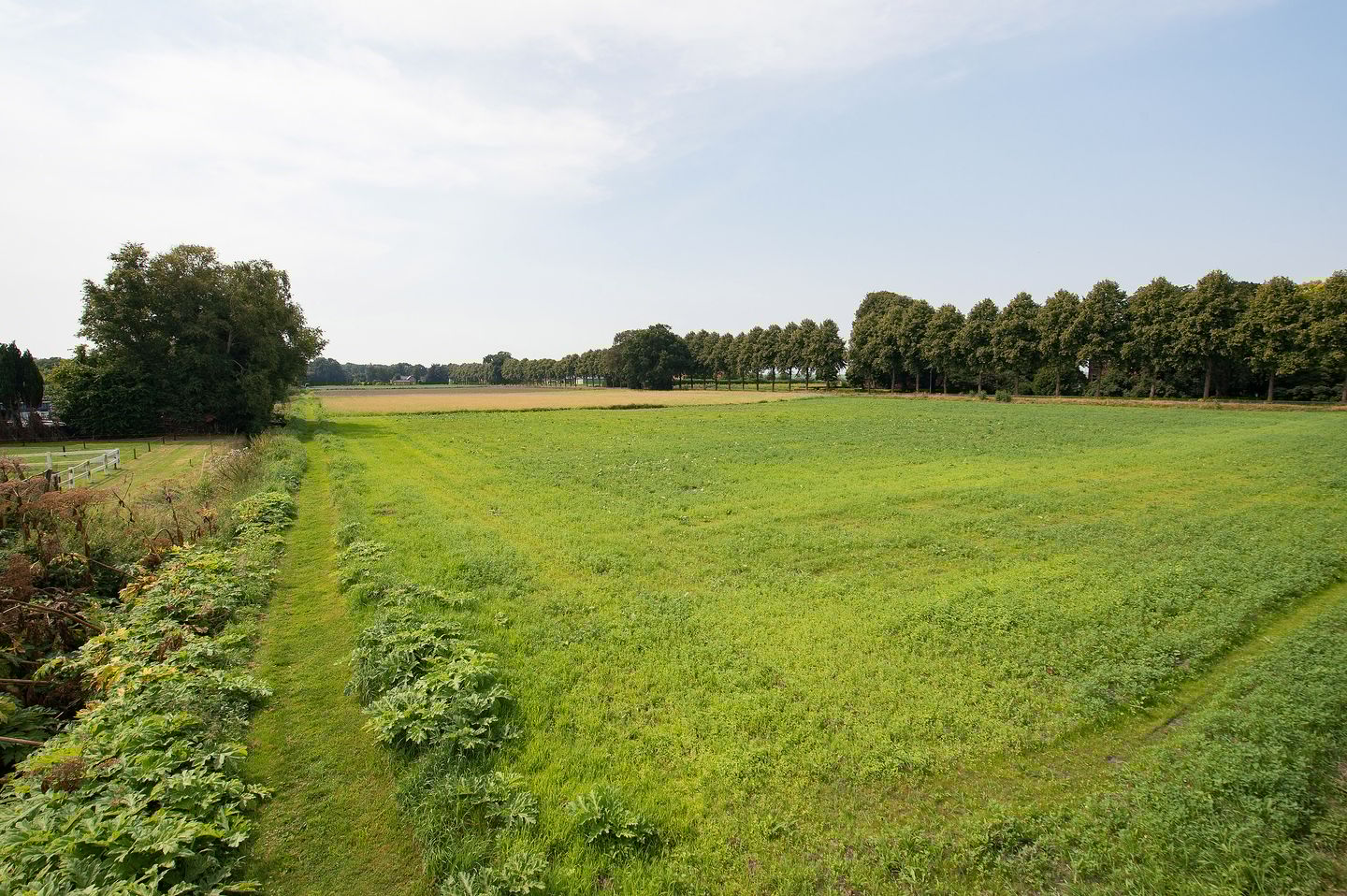 Bekijk foto 2 van Noorderdiep