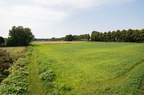 Bekijk foto's
