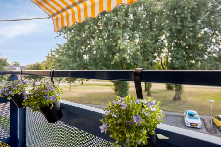 Foto 31 van Roelof van Schevenstraat 76