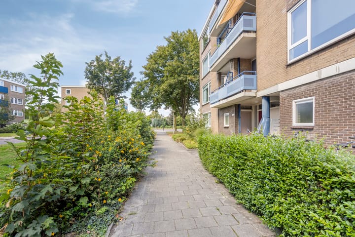 Foto 33 van Roelof van Schevenstraat 76