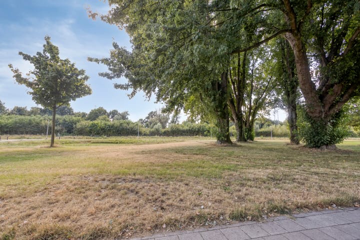 Foto 35 van Roelof van Schevenstraat 76