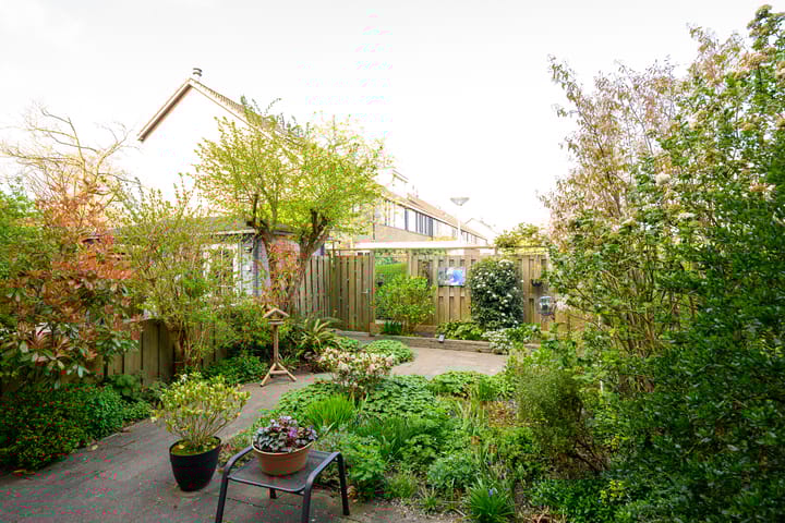 Foto 11 van Kaaskenswater 7