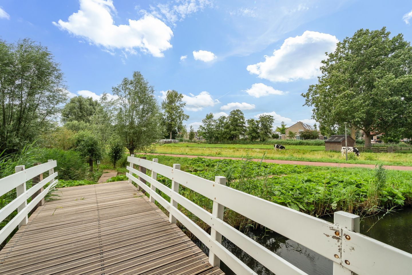 Photo 49 of Barkentijn 8