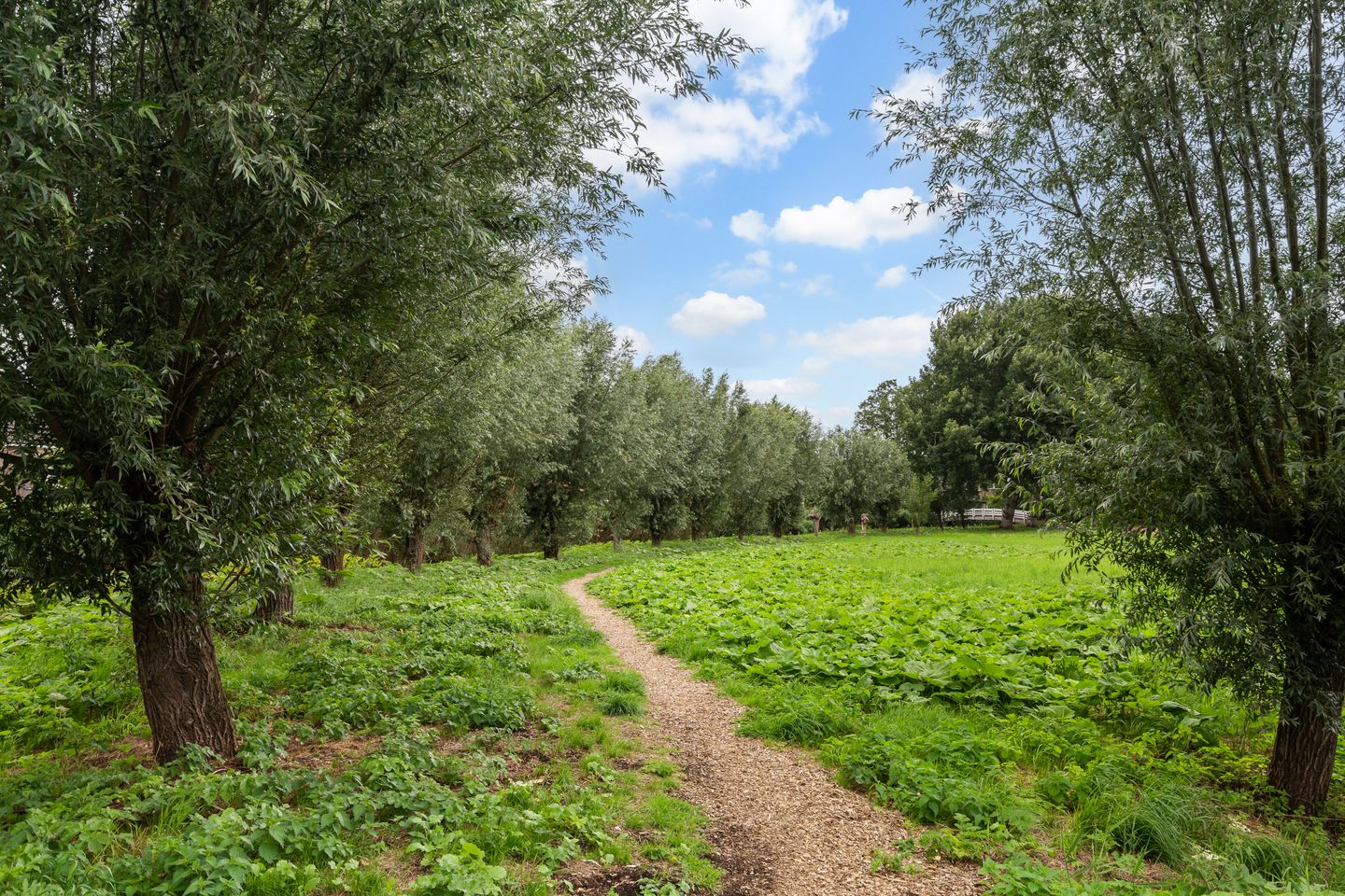 Photo 50 of Barkentijn 8