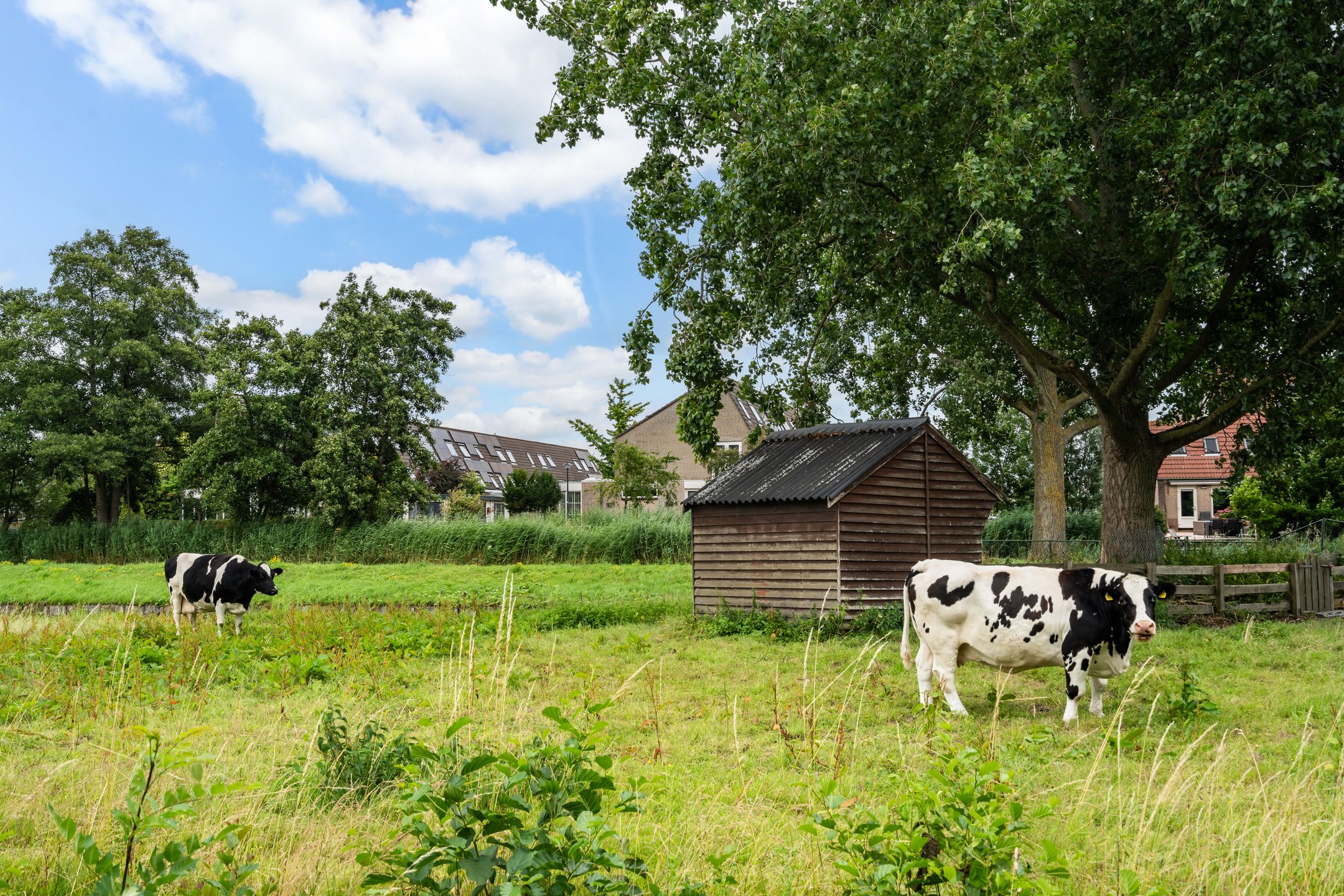 Photo 51 of Barkentijn 8