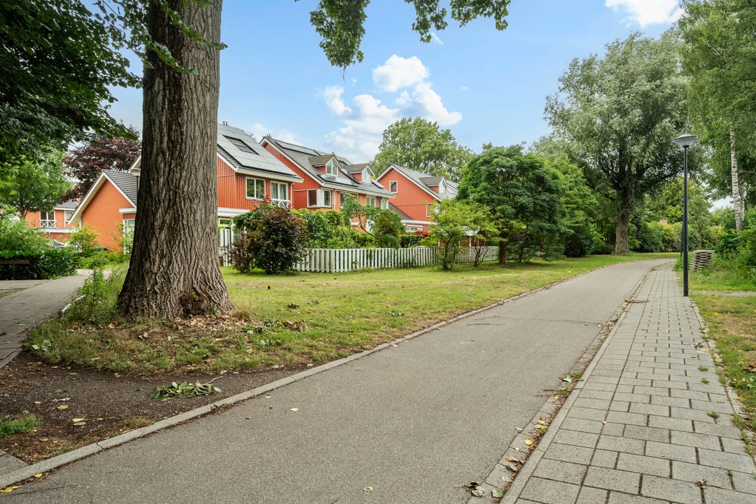 Photo 52 of Barkentijn 8