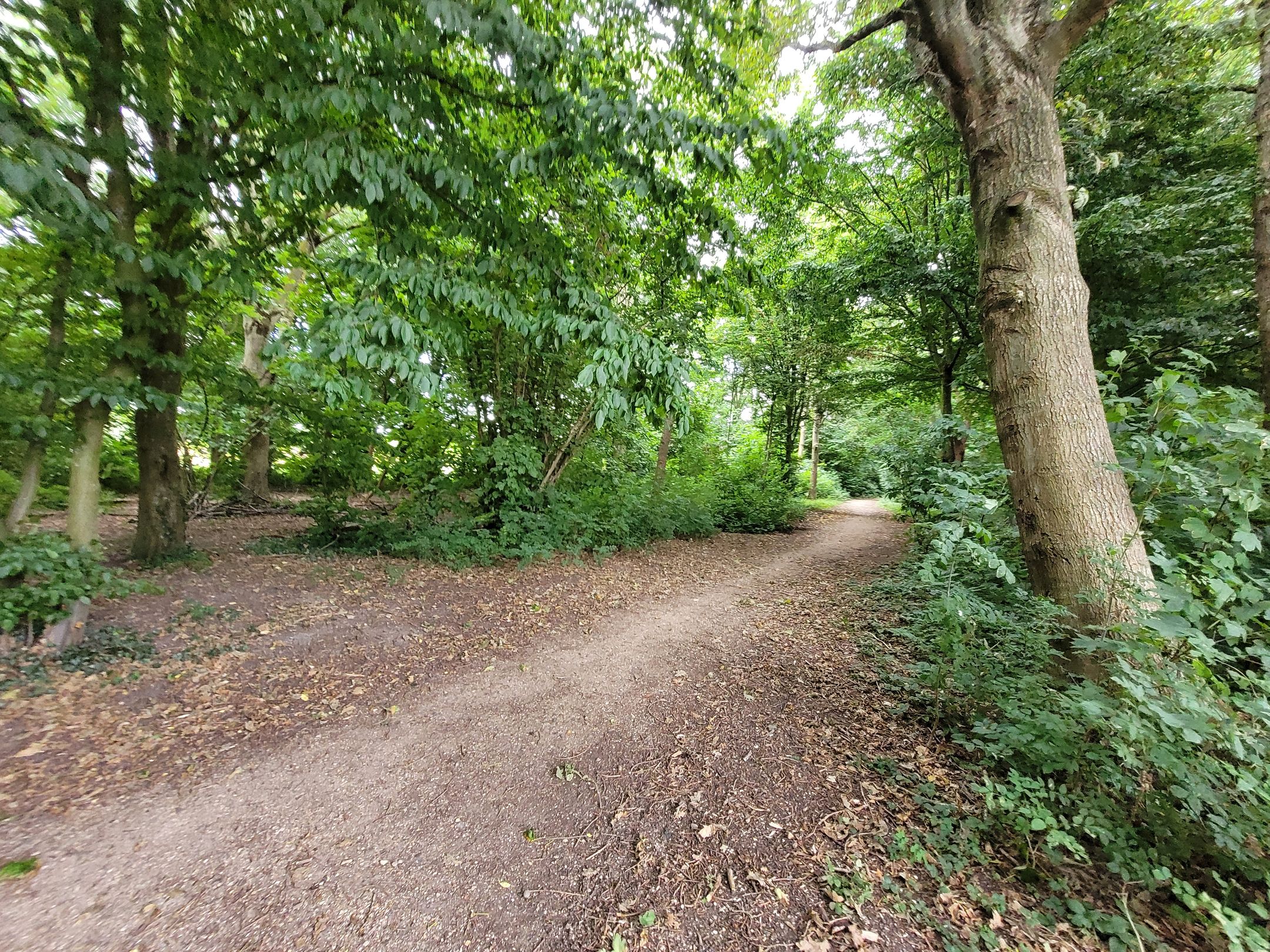 Foto 24 van Slikkerdijk 8