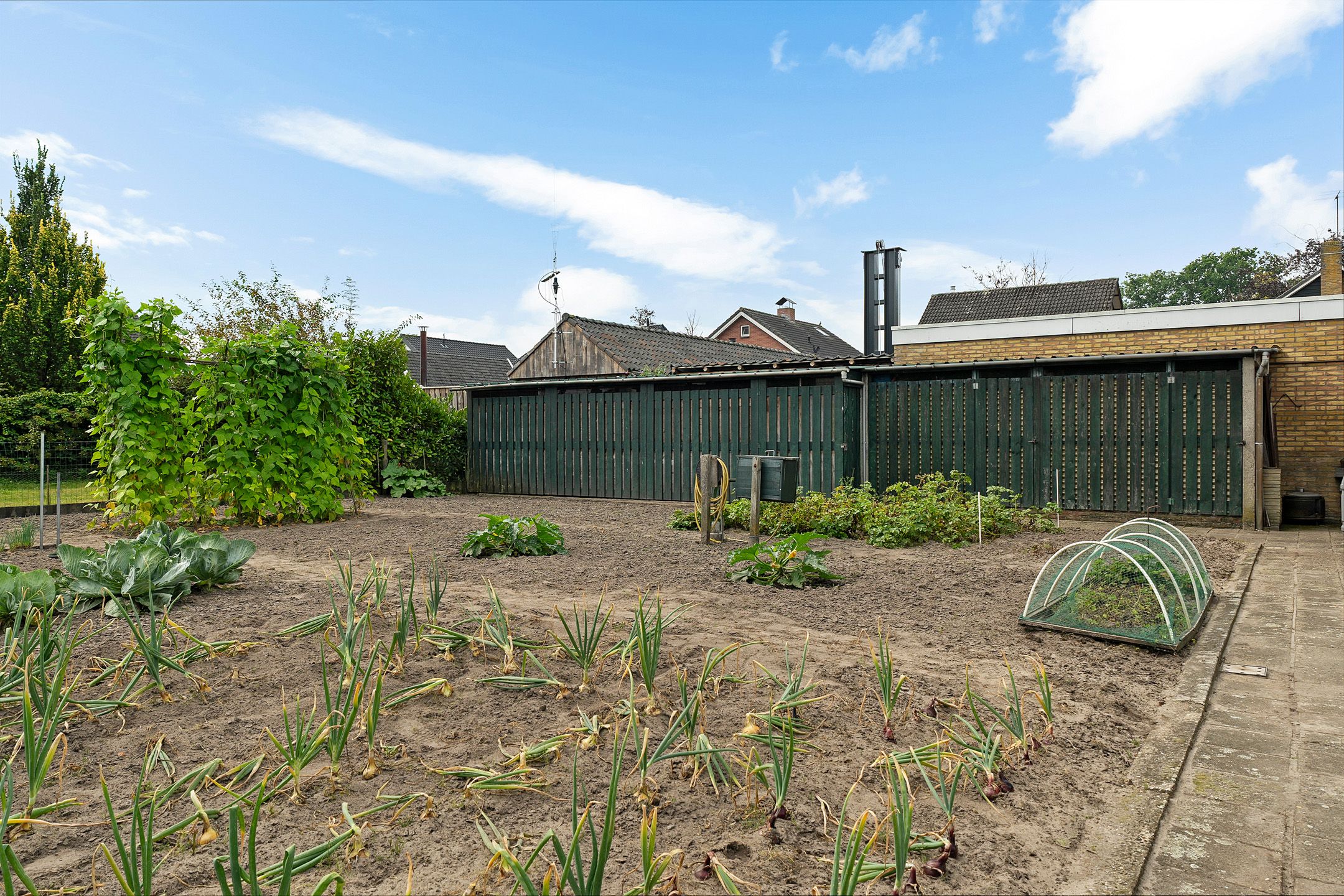 Foto 42 van Meidoornstraat 14