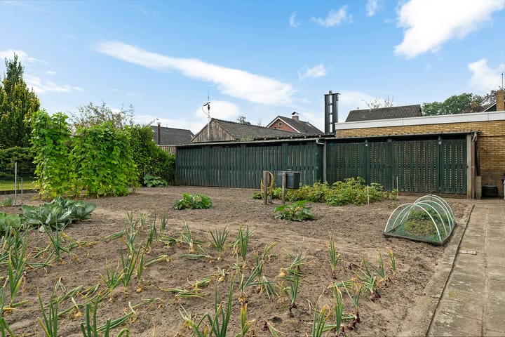 Foto 42 van Meidoornstraat 14