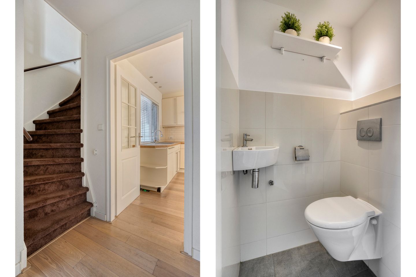 Photo 5 of Bekestein 31