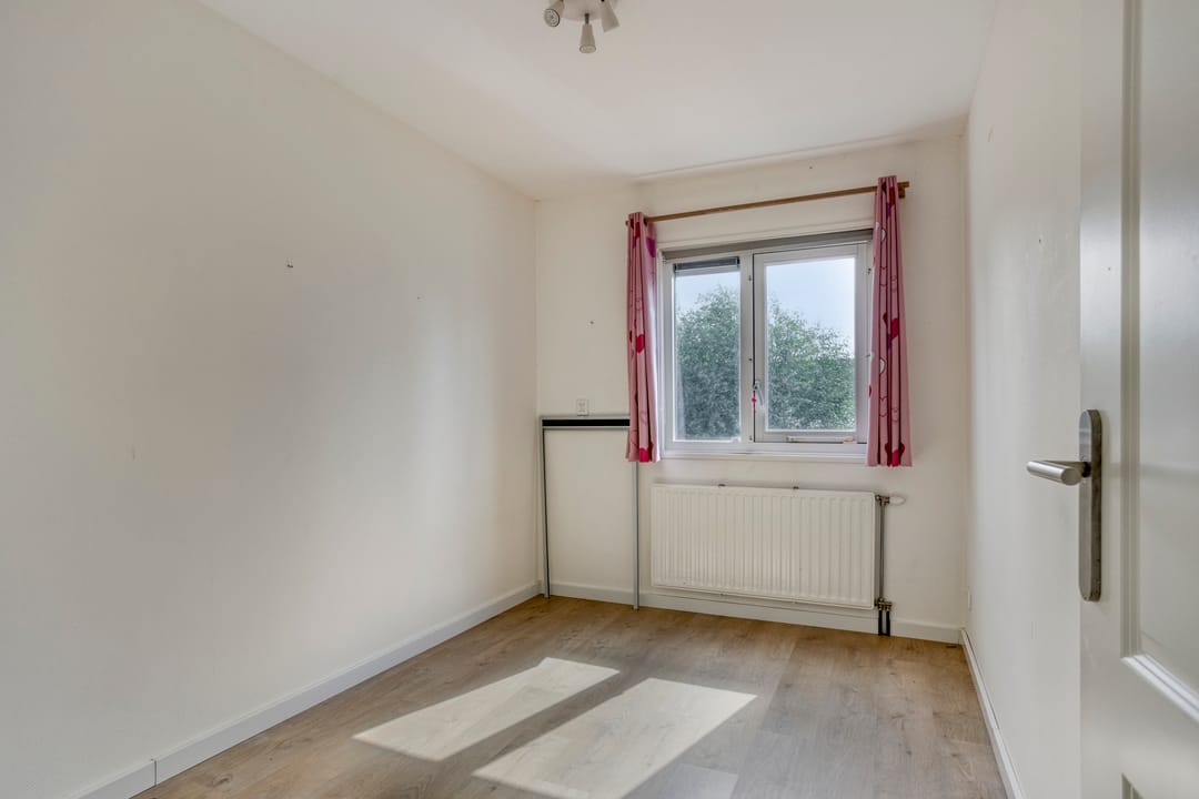 Photo 11 of Bekestein 31