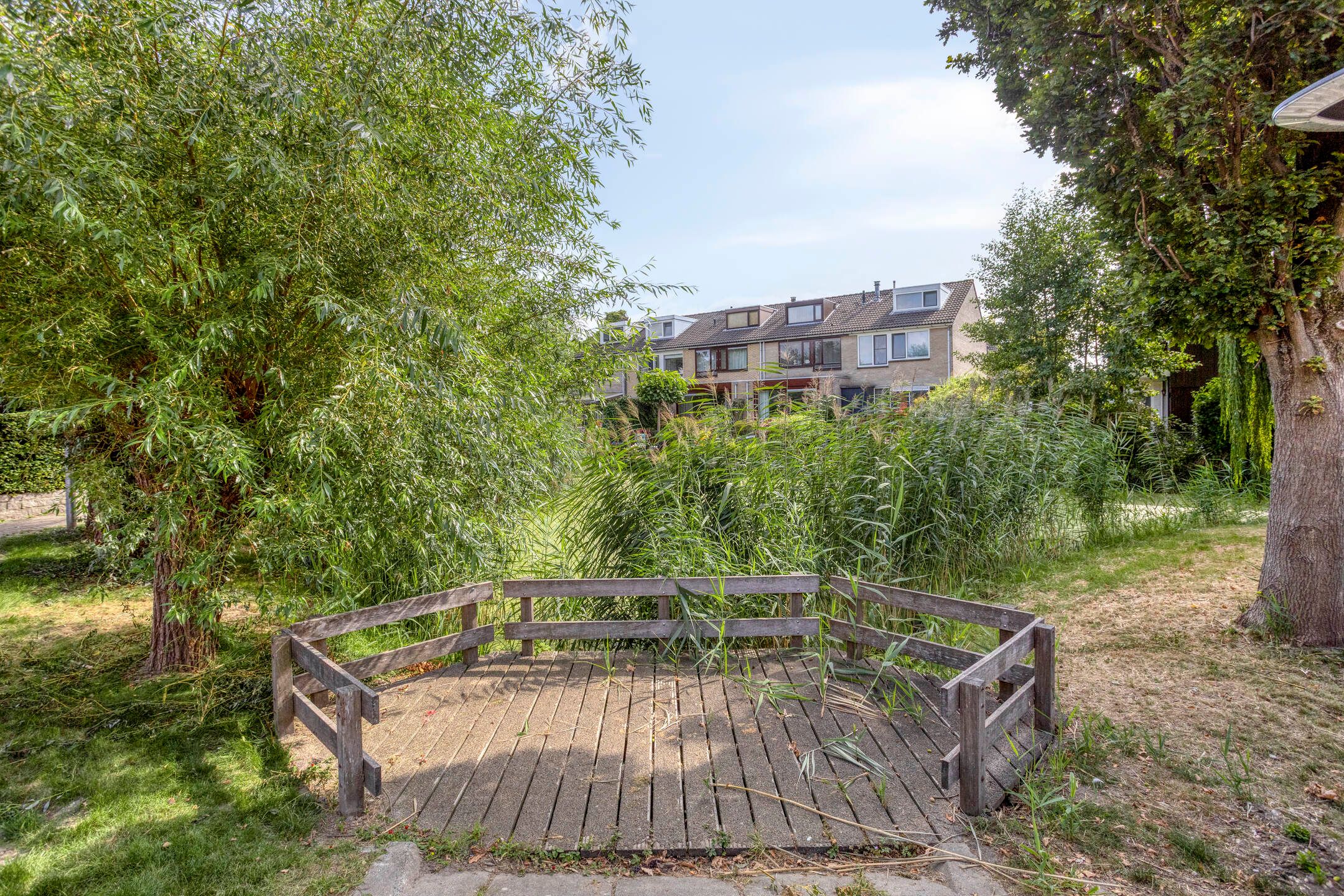 Photo 21 of Bekestein 31