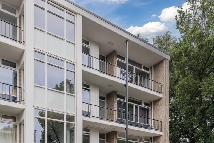 Foto 3 van De Reiger 203