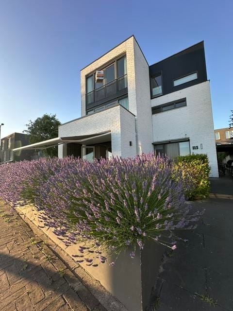 Foto 9 van Nico Jessekade 113