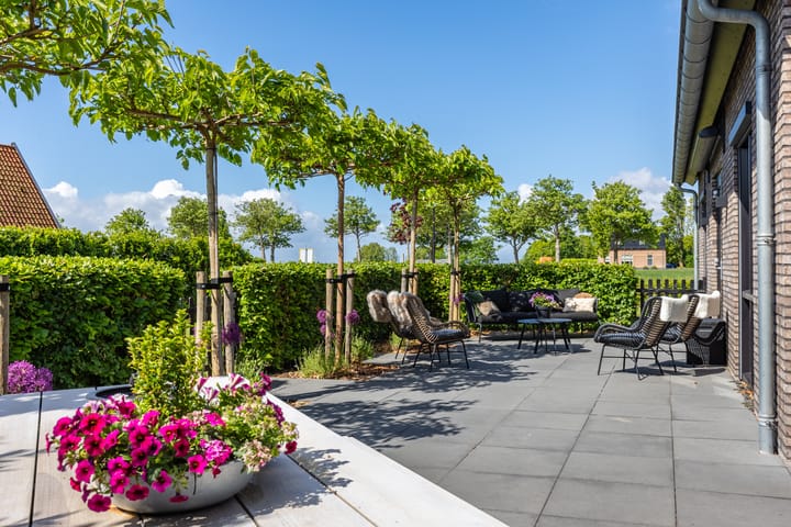 Photo 44 of Jorrit Biermastrjitte 16